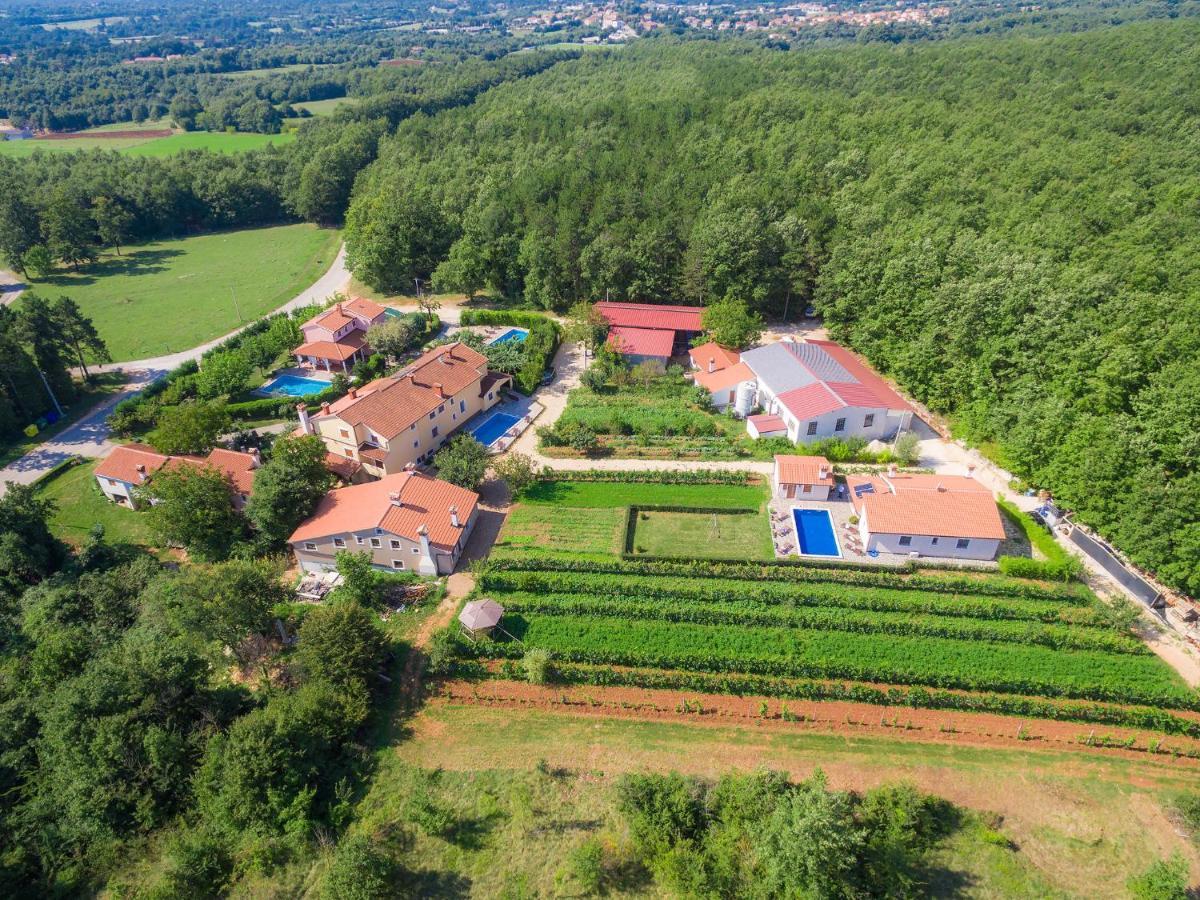 Holiday Home Edi - Roj433 By Interhome Žminj Exterior foto
